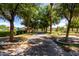 Scenic tree-lined walkway, offering a tranquil path with lush greenery and manicured landscaping at 32096 N 132Nd Dr, Peoria, AZ 85383