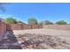 Wide gravel backyard enclosed by a brick wall and accented with green trees, offering privacy and a natural touch at 40468 W Sanders Way, Maricopa, AZ 85138
