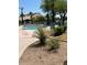 Community pool area with chairs, tables, and shade umbrellas and mature landscaping at 6510 S Hazelton Ln # 101, Tempe, AZ 85283