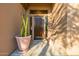 Inviting front entrance with a decorative solid wood door, potted cacti, and natural light at 7152 E Night Glow Cir, Scottsdale, AZ 85266