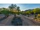Picturesque desert landscape featuring native plants and trees with a distant mountain view, adding natural beauty at 7152 E Night Glow Cir, Scottsdale, AZ 85266