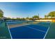 Multiple pickleball courts are available with blue and green surfaces for active sports and recreation at 7152 E Night Glow Cir, Scottsdale, AZ 85266
