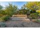 Desert Cholla signage welcomes residents and guests with manicured landscaping at 7152 E Night Glow Cir, Scottsdale, AZ 85266