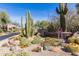 Landscaped street view featuring native desert vegetation with cacti and rock detail at 7152 E Night Glow Cir, Scottsdale, AZ 85266