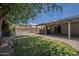 The backyard provides artificial turf and desert landscaping with a view of the home's covered patio at 807 E San Remo Ave, Gilbert, AZ 85234