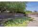 Backyard with a grass area, rocks, and a mature tree providing shade, creating a natural retreat at 807 E San Remo Ave, Gilbert, AZ 85234