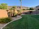 Landscaped backyard features green grass, palm trees, attractive plants, and a privacy fence with a mountain backdrop at 9623 S 25Th Ln, Phoenix, AZ 85041