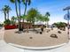 Expansive front yard showcases desert landscaping with native plants and palm trees at 1 W Canterbury Ln, Phoenix, AZ 85023