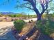 Desert landscaping and mountain views from this property with a circular driveway, rocks, and greenery at 10523 E Sleepy Hollow Trl, Gold Canyon, AZ 85118