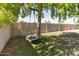 Backyard featuring a tree swing on artificial turf, providing a fun and relaxing outdoor space at 10702 W Orangewood Ave, Glendale, AZ 85307