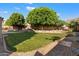 Well-maintained backyard with a manicured lawn, mature trees, and rock landscaping at 1216 E Rocky Slope Dr, Phoenix, AZ 85048