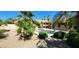 Beautiful backyard pool surrounded by desert landscaping and lush green foliage at 15728 W Verde Ln, Goodyear, AZ 85395