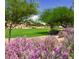 A beautiful community park with walking paths, a green lawn, flowering bushes, and mature trees at 16029 W Ocotillo Ln, Surprise, AZ 85374