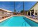 Backyard pool view featuring palm trees, a shaded hammock, and privacy fencing at 19546 N 53Rd Ave, Glendale, AZ 85308
