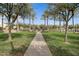 Landscaped walkway through community park with palm trees, manicured lawn, and central water fountain at 20545 W Terrace Ln, Buckeye, AZ 85396