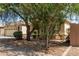 Single-Gathering home with desert landscaping, mature trees, and stone accents at 20895 E Via Del Rancho Rd, Queen Creek, AZ 85142