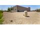 Backyard with desert landscaping and some mature trees at 38415 N 25Th Ave, Phoenix, AZ 85086