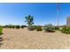 Front yard with desert landscaping and a few mature trees at 38415 N 25Th Ave, Phoenix, AZ 85086