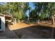 Expansive backyard with mature trees, grassy area, and ' play equipment at 547 W Orangewood Ave, Phoenix, AZ 85021