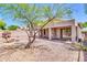 Large backyard with gravel, covered patio, and nice tree at 7532 E Sierra Morena Cir, Mesa, AZ 85207