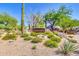 Landscaped Shadow Canyon community entrance featuring native desert plants and rock features at 7532 E Sierra Morena Cir, Mesa, AZ 85207