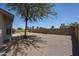 Expansive backyard featuring a neutral ground cover, mature shade tree, and block wall, offering privacy and potential at 7549 W Yucca St, Peoria, AZ 85345