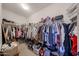Spacious walk-in closet with ample hanging and shelving space for organized storage at 10964 W Garfield St, Avondale, AZ 85323