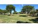 Lush park with green grass and mature trees providing a serene environment for residents at 1165 E Ivanhoe St, Chandler, AZ 85225
