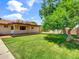 Expansive backyard boasts lush lawn, mature tree, covered patio, and solar panels on roof at 1306 W 12Th St, Tempe, AZ 85281