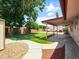 Inviting backyard featuring a covered patio, lush green lawn, mature trees, gravel, and sidewalk at 1306 W 12Th St, Tempe, AZ 85281