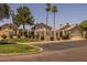 Community pool and grassy area, with tall palm trees in the distance at 2455 E Broadway Rd # 122, Mesa, AZ 85204