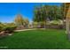 A lush green lawn bordered by trees, shrubs, and a block fence at 25210 N 40Th Ave, Phoenix, AZ 85083