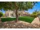 Spacious backyard featuring a lush lawn, mature trees, and a covered patio at 25210 N 40Th Ave, Phoenix, AZ 85083