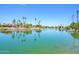 Scenic lake view featuring calm water, lush palm trees, and beautiful waterfront homes under a clear blue sky at 2552 S Playa --, Mesa, AZ 85202