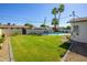 Expansive backyard with lush green lawn, mature trees, and a swimming pool at 2608 W Aster Dr, Phoenix, AZ 85029