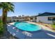 Backyard pool with a lush palm tree, and a white privacy fence surrounding the property at 2608 W Aster Dr, Phoenix, AZ 85029