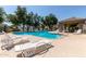 Community pool with lounge chairs and shaded seating areas with mature trees for shade at 2727 N Price Rd # 32, Chandler, AZ 85224