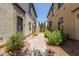 Exterior walkway between homes with landscaping and pavers, showing the neighborhood setting at 2727 N Price Rd # 32, Chandler, AZ 85224