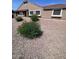 Exterior of a tan single-story house with low maintenance desert landscaping featuring small green bushes at 3510 E Hampton Ave # 133, Mesa, AZ 85204