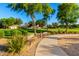 Lush green community space with walking path, benches, and mature trees for relaxation at 4251 E Sundance Ave, Gilbert, AZ 85297