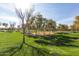 A lawn with green grass, trees, and shade on a sunny day at 4251 E Sundance Ave, Gilbert, AZ 85297