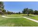 Lush green community park featuring mature trees and paved pathways, perfect for leisurely walks and outdoor enjoyment at 4251 E Sundance Ave, Gilbert, AZ 85297