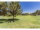 Expansive green park with mature trees, and walking trails, providing a serene and picturesque outdoor space for relaxation at 4251 E Sundance Ave, Gilbert, AZ 85297
