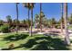 Community playground area with mature trees, picnic tables, and grassy areas creating a welcoming and active recreational space at 4251 E Sundance Ave, Gilbert, AZ 85297