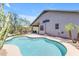 Sparkling backyard pool with poolside lounge chairs and well-manicured landscaping at 4301 E Abraham Ln, Phoenix, AZ 85050