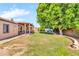 Expansive backyard with lush greenery, a large shade tree, and a covered patio at 6055 E Hannibal St, Mesa, AZ 85205