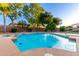 Sparkling pool surrounded by mature trees and landscaping, perfect for enjoying the outdoor scenery at 7247 W Buckskin Trl, Peoria, AZ 85383
