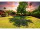 Expansive backyard with lush lawn, mature trees, and attractive landscaping at 7722 W Michigan Ave, Glendale, AZ 85308