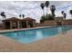 Large community pool surrounded by palm trees, with covered cabanas and well-maintained pool deck at 8111 W Wacker Rd # 94, Peoria, AZ 85381