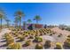 Beautiful community entrance with stone signage, desert landscape, and palm trees, creating a warm welcome at 1166 W Silver Creek Ln, Queen Creek, AZ 85140